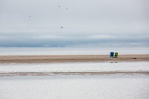 Home the surprisingly loneliness